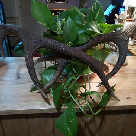 호텔 La Maison D'hoursentut 2*